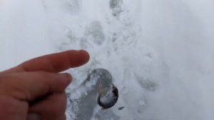 Рыбалка на реке Мелеча #зима 2023#река #мелеча#удочкипоставушки#плотва #окунь#тверская_область #