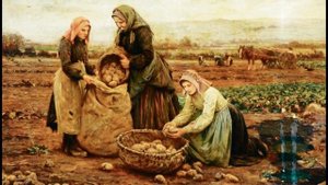 История культивирования картофеля в России