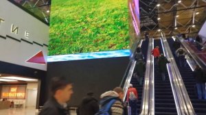 Самый большой телевизор в России !!!