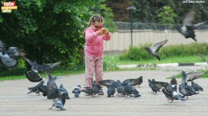 Голубь – символ мира и счастья на Земле, чистоты и божественной силы у разных народов