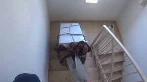 ОДИН СО СТИРАЛКОЙ ПО СТУПЕНЬКАМ