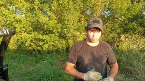 Купили крокодила