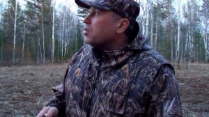 Как правильно манить вальдшнепа | ПОДРОБНО