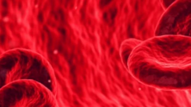 Питание для чистых эластичных сосудов ! смотреть онлайн