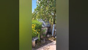 ОБЗОР ДОМА ЗА 4500 $/ГРОДНЕНСКАЯ ОБЛАСТЬ /ЗЕЛЬВЕНСКИЙ район /ДЕРЕВНЯ ПРУД /ПРОДАЕТСЯ ✍️?