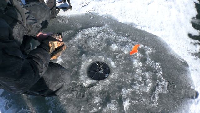 Рыбалка на КУРСКОМ водохранилище(Щетинка) смотреть онлайн