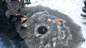 Рыбалка на КУРСКОМ водохранилище(Щетинка)