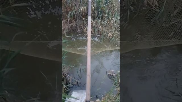 Рыбалка с подымалкой