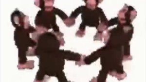 monkey spin