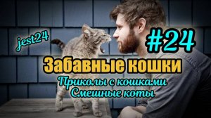 Забавные кошки / Приколы с кошками / Смешные коты #24