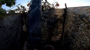 Утка прет дуром-садится прям в скрадок! Поставил скрадок в поле и пошло. Охота на утку 2022. Охота