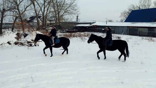 Трудовые династии Алтая. Коневоды