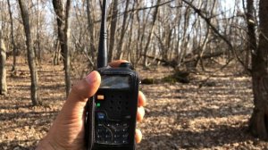 Радиосвязь в лесу