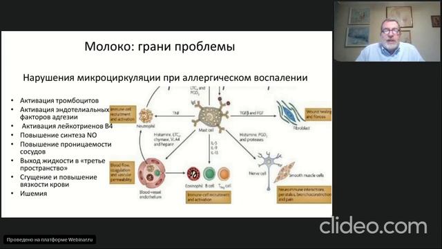 «Непереносимость молока: две грани проблемы». Анатолий Ильич Хавкин, д.м.н., профессор. смотреть онлайн