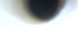 FXE20HR11使用2個禮拜後,第1、4缸的燃燒室狀況