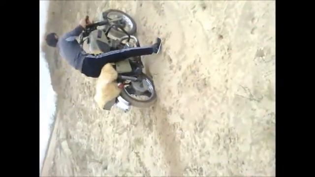 вот как должен гребсти настоящий иж, пелагиада смотреть онлайн