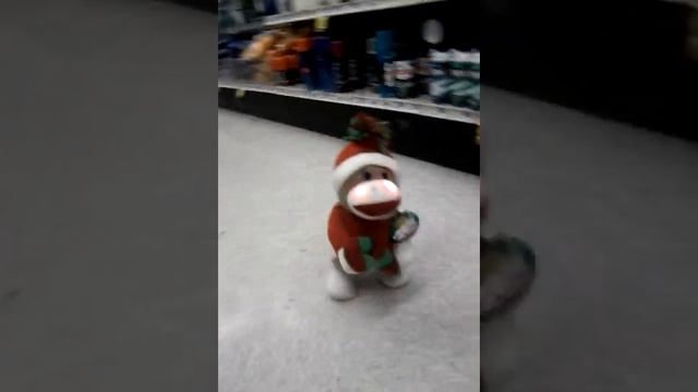 Monkey in the middle of the store