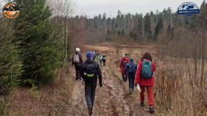 ст. Фирсановская — озеро Щепкино болото — Киногород [14 км]