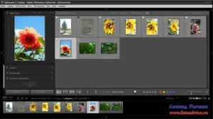 Программа для обработки фотографий LightRoom