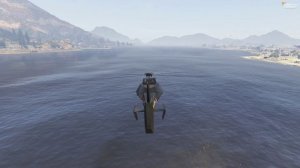 Лицензия USAF H+