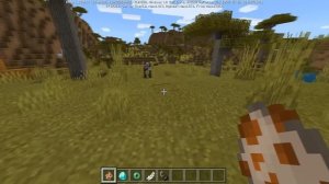 ЭТИ БАГИ в МАЙНКРАФТ ПЕ 1.13.0.13