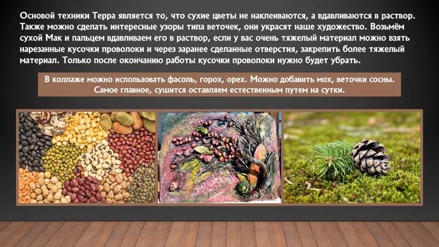 Занятие №2 Объединение "Мастерская природы». смотреть онлайн