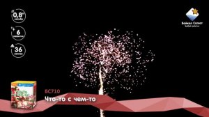 Что-то с чем-то! (0,8х36) (БС710)