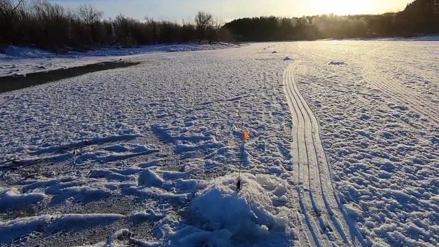 Рыбалка на налима и щуку. река Вишера.