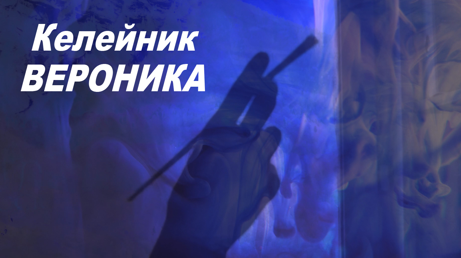 Келейник: Вероника