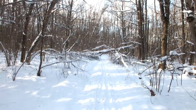 Косогорская лыжня смотреть онлайн