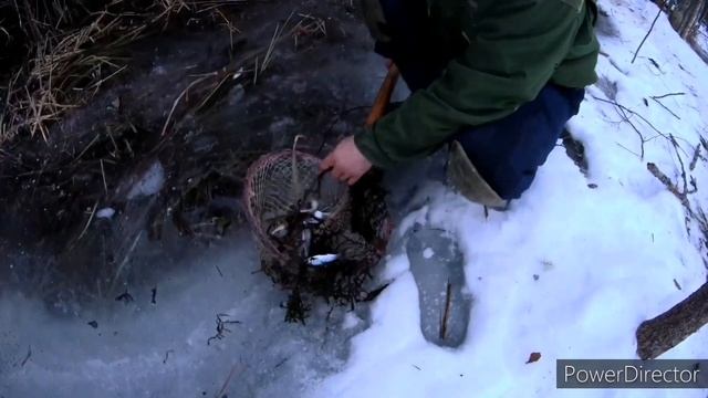 ЗАМОР РЫБЫ 2022,12 КГ КРУПНЕЙШЕЙ ПЛОТВЫ И КРАСНОПЕРКИ,РЫБАЛКА,ЛОВИМ САЧКОМ,ЩУКА ТОЖЕ ПОПАДАЕТСЯ смотреть онлайн