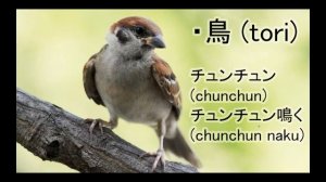 Как говорят животные по-японски? Урок японского языка. Ономатопея