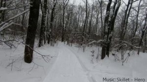 Спортивное ориентирование на лыжах