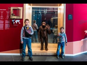 Авто путешествие в Шульган-Таш