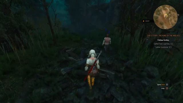 The Witcher 3: Ciri's story-The King of the Wolves(Cirilla character)