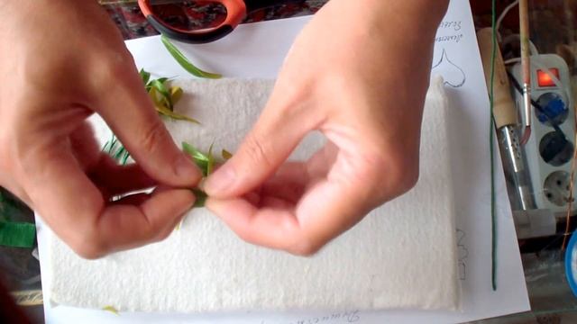 Душистый горошек полевой. Интерьерный цветок смотреть онлайн