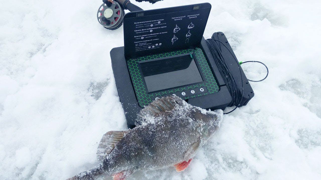 Обзор подводной камеры МУРЕНА. Отличный инструмент для поиска рыбы. смотреть онлайн