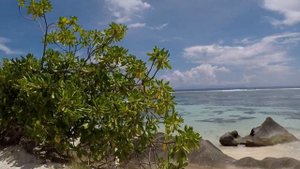 Сейшелы. Остров Праслин и Ла Диг