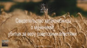 Свидетельство о катакомбной Церкви