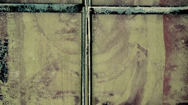 The Polaroid 20x24 Image Transfer Process смотреть онлайн