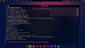 Garuda Linux Gaming Edition installation