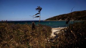 Осень на острове Фуругельма. М.Склярова