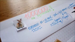 1000000 на кроликах в год. Легко. Секреты успеха кролиководства.