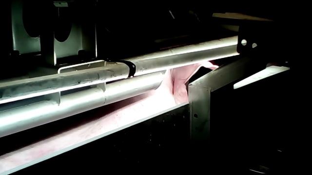 Немного о забое свиней в промышленных масштабах. смотреть онлайн