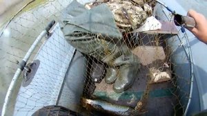 рыбалка на реке Сал