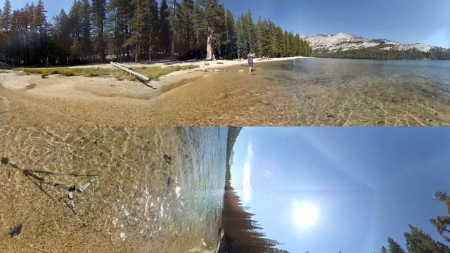 Yosemite National Park 360-degree Video tour (VR Too!)