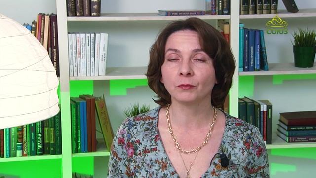 У книжной полки. Мономах – страж земли Русской