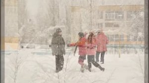 Серебряные розы