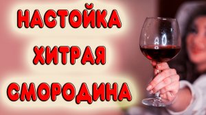 БЫСТРАЯ настойка на черной смородине. Отличный рецепт настойки из черной смородины на самогоне