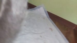 РОДЫ У КОШКИ. Трудное появление Британских котят